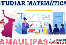 10 Universidades donde estudiar Matemáticas en Tamaulipas