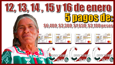 12, 13, 14, 15 y 16 de enero | 5 pagos de: $6,400, $3,300,$1,650, $3,100 pesos