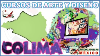 12 Cursos de Artes y Diseño en Colima