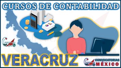 12 Cursos de Contabilidad en Veracruz