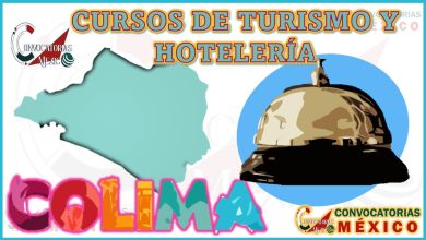 12 Cursos de Turismo y Hotelería en Colima