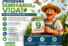 Sembrando Vida: anuncian depósito del apoyo correspondiente a julio; esto deben saber las y los beneficiarios