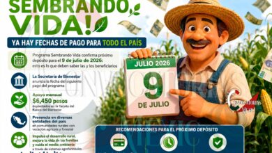 Sembrando Vida: anuncian depósito del apoyo correspondiente a julio; esto deben saber las y los beneficiarios