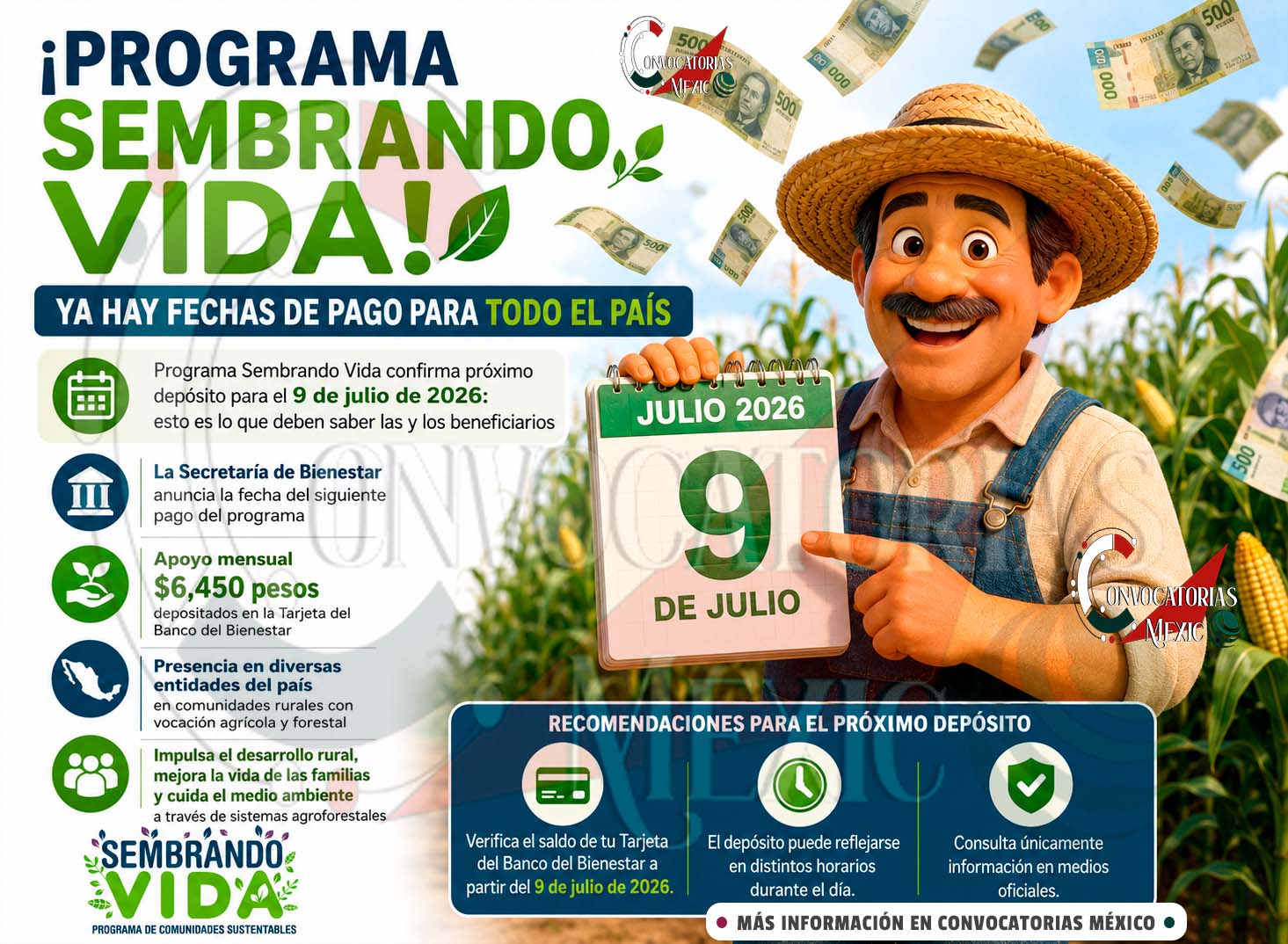 Sembrando Vida: anuncian depósito del apoyo correspondiente a julio; esto deben saber las y los beneficiarios