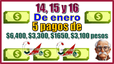  14, 15 y 16 de enero | 5 pagos de: $6,400, $3,300,$1,650, $3,100 pesos