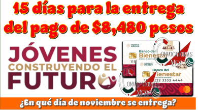 15 días para la entrega del pago de $8,480 pesos | ¿En qué día de noviembre se entrega?