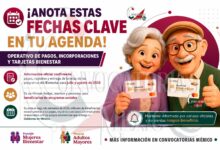 Programas del Bienestar 2026: anuncian registros, depósitos y actualización de apoyos para el bimestre julio-agosto