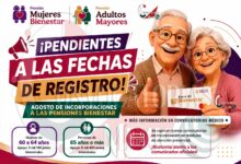 Pensiones Bienestar: estos son los documentos que debes tener listos ante las próximas incorporaciones