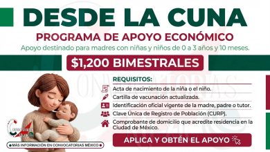 Desde la Cuna: apoyo social para fortalecer el desarrollo infantil en la Ciudad de México