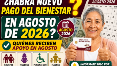 ¿Habrá nuevo pago de los Programas del Bienestar? Estos beneficiarios reciben apoyo en agosto de 2026