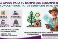 Se bre apoyo de SECAMPO 2026 para productores: materiales, equipamiento e infraestructura hidroagrícola