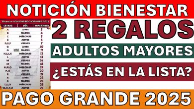 Pensión IMSS, ISSSTE y Bienestar: Alertas Cruciales y Fechas Clave para el Cierre de 2025