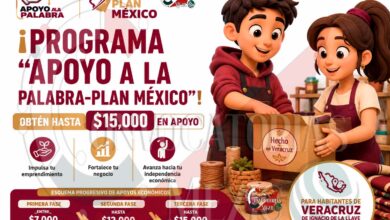 Apoyo a la Palabra en Veracruz: así funciona el esquema de apoyos para emprender
