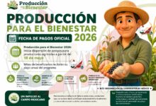 Producción para el Bienestar: anuncian entrega de apoyos económicos para agricultores de diversos cultivos