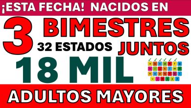 Adultos Mayores de nueva incorporación a la Pensión Bienestar de 65 y más ¡ENTREGA DE TARJETAS, MES DE PAGO Y MONTO A RECIBIR, ¡TENTATIVAMENTE!
