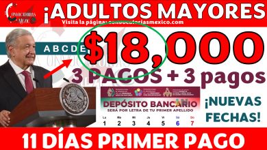 3 pagos para Adultos Mayores ¡Fechas de depósitos de las Pensiones Bienestar, IMSS e ISSSTE! ¡65 y MÁS del Bienestar recibirán hasta $18,000 mil pesos durante los últimos meses del 2024!