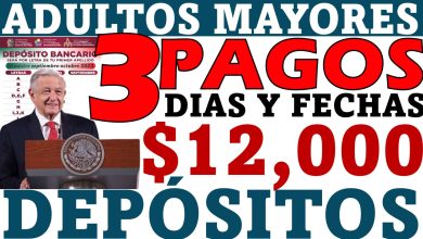 3 pagos para Programas del Bienestar ¡Pago 1 para Adultos Mayores, Pago 2 para Personas con Discapacidad y Pago 3 para Madres Trabajadoras en este mes! ¡Ariadna Montiel Reyes dice esto!