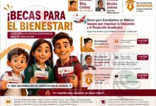 Becas para Estudiantes en México: Conoce los Apoyos Disponibles para Cada Nivel Educativo