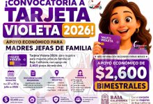 Tarjeta Violeta en Baja California: inicia jornada de inscripción para mujeres jefas de familia con apoyo de 2,600 pesos bimestrales