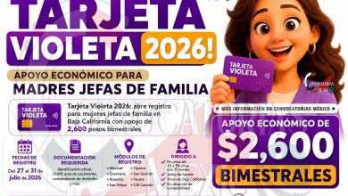 Tarjeta Violeta en Baja California: inicia jornada de inscripción para mujeres jefas de familia con apoyo de 2,600 pesos bimestrales