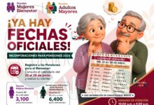 Inicia nueva jornada de incorporación a las Pensiones para el Bienestar: conoce cuándo debes acudir a tu registro