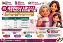 Pagos Bienestar septiembre 2026: estas son las letras que reciben su apoyo del 7 al 11 de septiembre 12 Pagos Bienestar septiembre 2026: estas son las letras que reciben su apoyo del 7 al 11 de septiembre