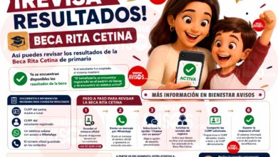 Beca Rita Cetina: así pueden consultar los padres si sus hijos fueron aceptados en primaria
