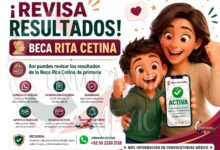 Beca Rita Cetina: así pueden consultar los padres si sus hijos fueron aceptados en primaria