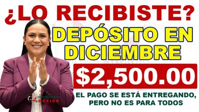 Adultos mayores y mujeres beneficiarias: Todo lo que debes saber sobre pagos y viviendas del gobierno