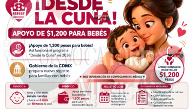 Programa “Desde la Cuna” entregará apoyo económico a familias con bebés en 2026