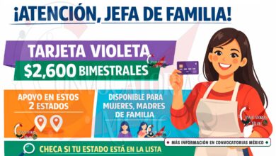 Tarjeta Violeta 2026: respaldo económico dirigido a mujeres jefas de familia | Checa si tu estado participa