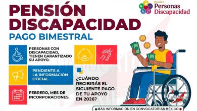 Próximo operativo de pagos de la Pensión para Personas con Discapacidad: fechas clave y registro en febrero