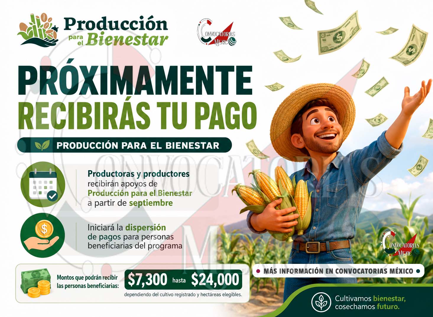 Producción para el Bienestar: septiembre marcará el inicio de una nueva etapa de pagos para beneficiarios