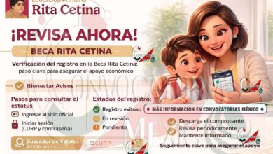 Consulta del estatus en la Beca Rita Cetina: una revisión necesaria para garantizar el apoyo