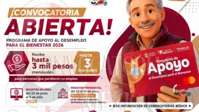 Programa de Apoyo al Desempleo para el Bienestar: conoce quiénes pueden solicitar el apoyo y cómo realizar el registro