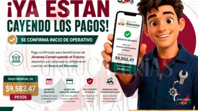 Jóvenes Construyendo el Futuro: comienzan a reflejarse depósitos del apoyo mensual en cuentas del Banco del Bienestar