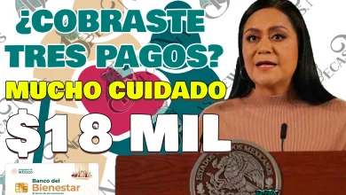 PAGOS BIMESTRALES SUSPENDIDOS. ¿Quiénes son los Pensionados del Bienestar AFECTADOS?