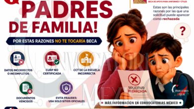 Beca Rita Cetina: Qué hacer si tu registro fue rechazado y cómo evitar errores en la solicitud