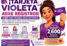 Tarjeta Violeta abrirá registro del 27 al 31 de julio en Baja California: conoce los requisitos y prepara tu documentación