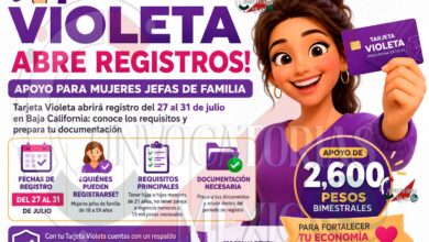 Tarjeta Violeta abrirá registro del 27 al 31 de julio en Baja California: conoce los requisitos y prepara tu documentación