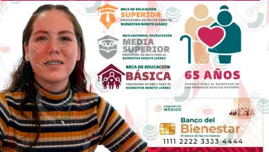 Incorporaciones a los programas del Bienestar. ¿Cuándo podrás registrarte?