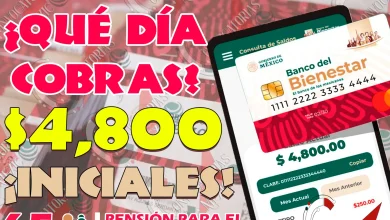 Fechas de Pago para el bimestre Noviembre-Diciembre ¿Cuándo será depositada tu Pensión?