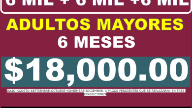 6 mil + 6 mil + 6 mil de Pensión del Bienestar 2024 Adultos Mayores 65 y más: Próximo Pago y Calendario Anual, Ariadna Montiel Reyes