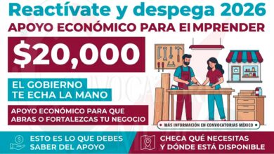 Apoyo “Reactívate y Despega 2026”: incentivo económico para emprendedores en Baja California