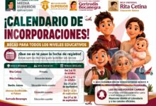 Becas 2026: conoce cuándo podrás realizar tu registro según tu nivel educativo | Becas para todos los estudiantes