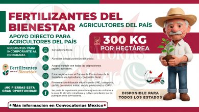 Fertilizantes Para el Bienestar impulsa al campo con apoyos directos para pequeños productores