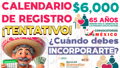 COMIENZAN LAS INCORPORACIONES al programa de Pensiones para el Bienestar. ¿Qué día de Agosto comenzarán los operativos de incorporación para este programa?