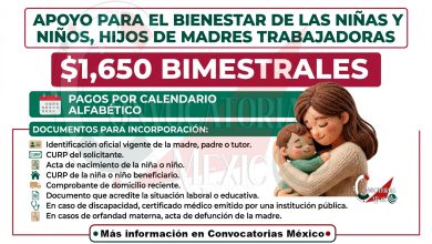 Apoyo para el Bienestar de Niñas y Niños, Hijos de Madres Trabajadoras: detalles relevantes
