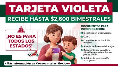 Tarjeta Violeta: un programa integral para fortalecer a madres jefas de familia