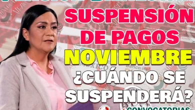 En estos días NO se entregarán Pensiones del Bienestar para las personas adultas mayores. ¡SUSPENSIÓN!
